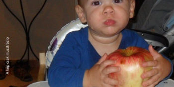 kisfiú almát eszik