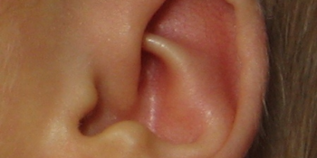 fül