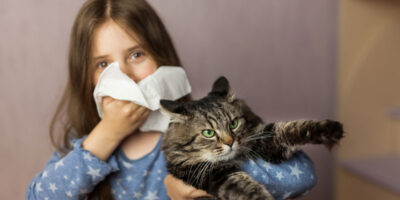 egy kép, amelyen macskaallergia miatt trüsszent egy kislány
