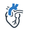 kardiológia ikon