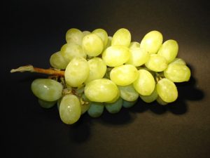 szőlő-grapes-16614_640