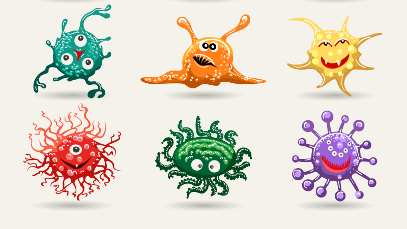 baktériumok és vírusok